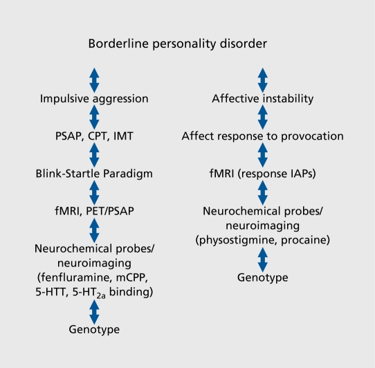 Flowchart showing identification of biological endophenotypes in borderline personality disorder through psychometric, laboratory, neurochemical, and neuroimaging pathways