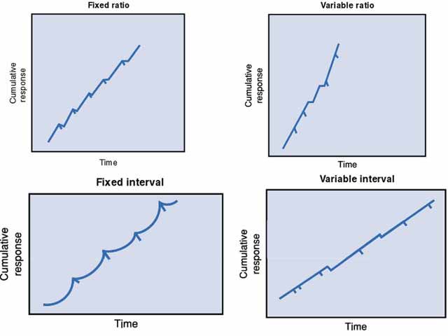 Graphs showing response patterns for four reinforcement schedules: fixed-ratio, variable-ratio, fixed-interval, and variable-interval
