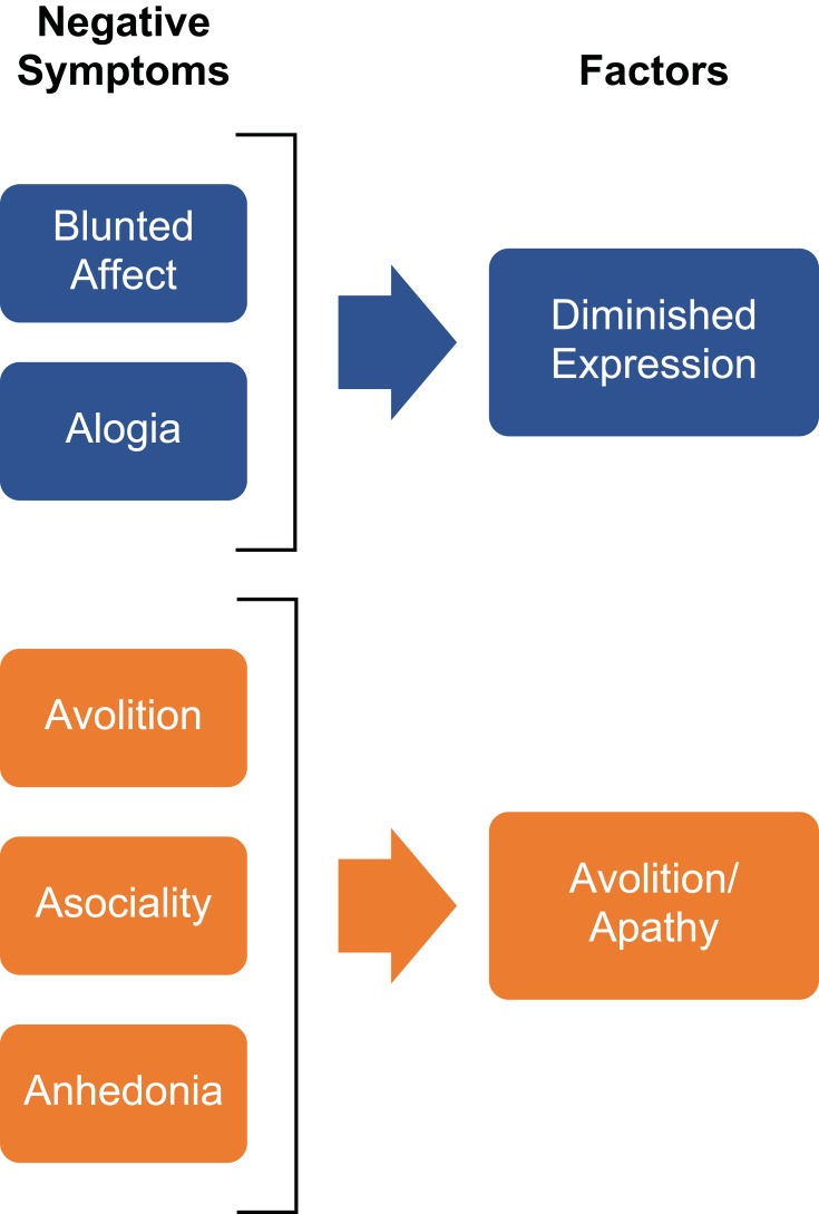 Diagram of schizophrenia negative symptom constructs including affective flattening, alogia, avolition, anhedonia, and asociality with their neurobiological correlates