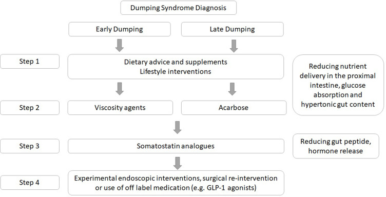 Stepwise management algorithm for dumping syndrome showing dietary modifications and escalating pharmacological interventions