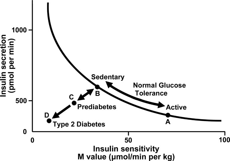 Graph illustrating the relationship between insulin secretion and insulin sensitivity, showing the hyperbolic curve and progression toward type 2 diabetes