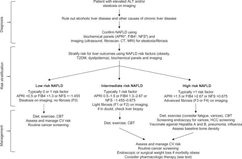 Clinical evaluation algorithm for assessment and management of non-alcoholic fatty liver disease in bariatric surgery patients
