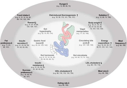 Schematic illustration of the physiological mechanisms underlying weight loss and metabolic improvement after bariatric surgery