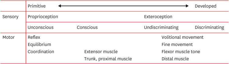 Diagram of the major ascending and descending spinal cord tracts organized by developmental and functional categories