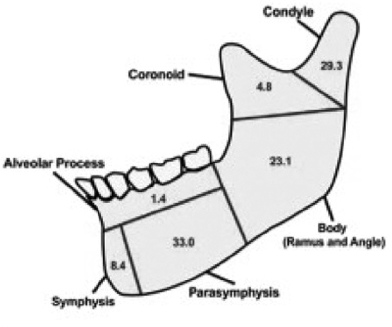 Diagram showing the frequency distribution of mandibular fractures by anatomic location including condyle, angle, body, and symphysis