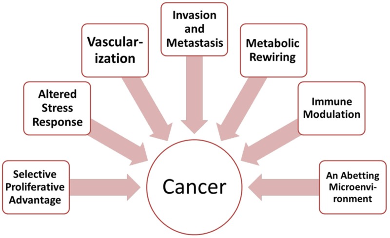 Diagram illustrating the revised hallmarks of cancer framework showing the seven key biological capabilities acquired by tumors during malignant progression