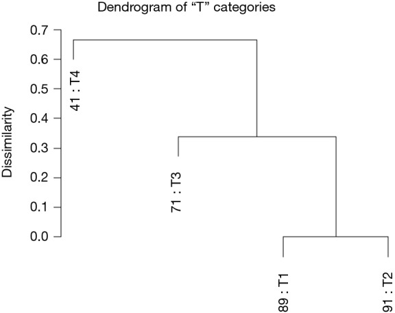 Dendrogram showing TNM classification T-category staging for colon cancer with prognostic grouping
