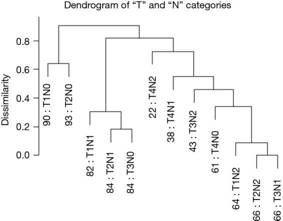 Dendrogram showing combined T and N category staging groups for colorectal cancer with prognostic stratification