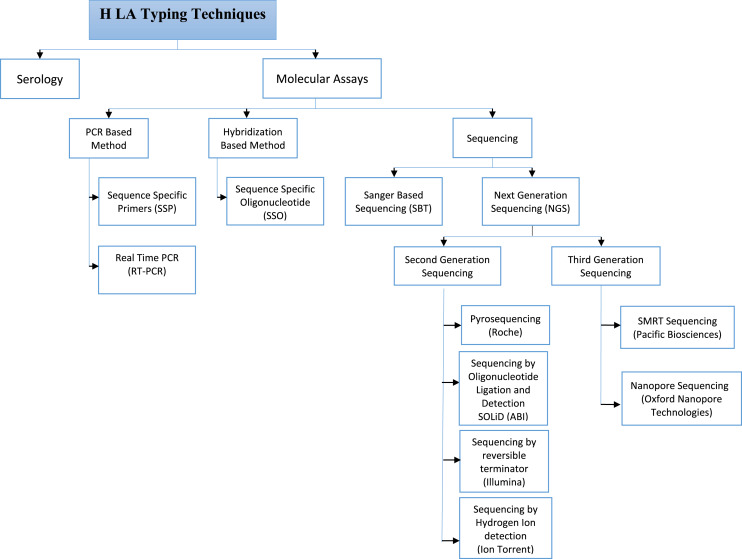 Comparison of HLA typing methods from serologic to next-generation sequencing