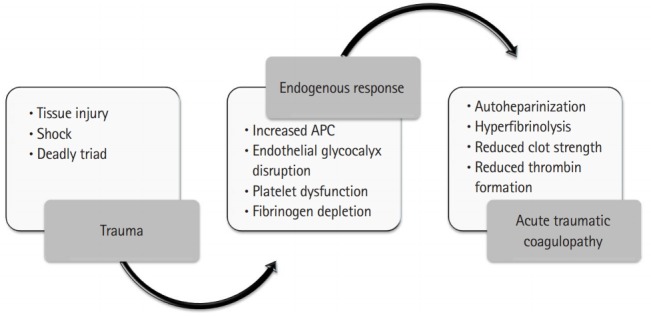 Massive transfusion protocol activation criteria and blood product delivery sequence