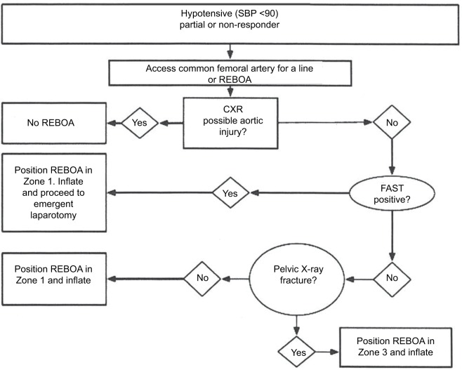 REBOA clinical decision algorithm for hemorrhagic shock management in trauma